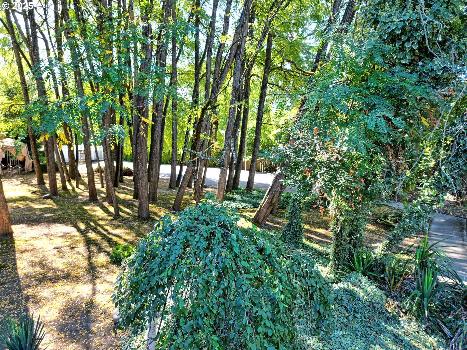 11939 Southwest Walker Road Beaverton, OR 97005 - Photo 29 of 31 Gallery Image 29