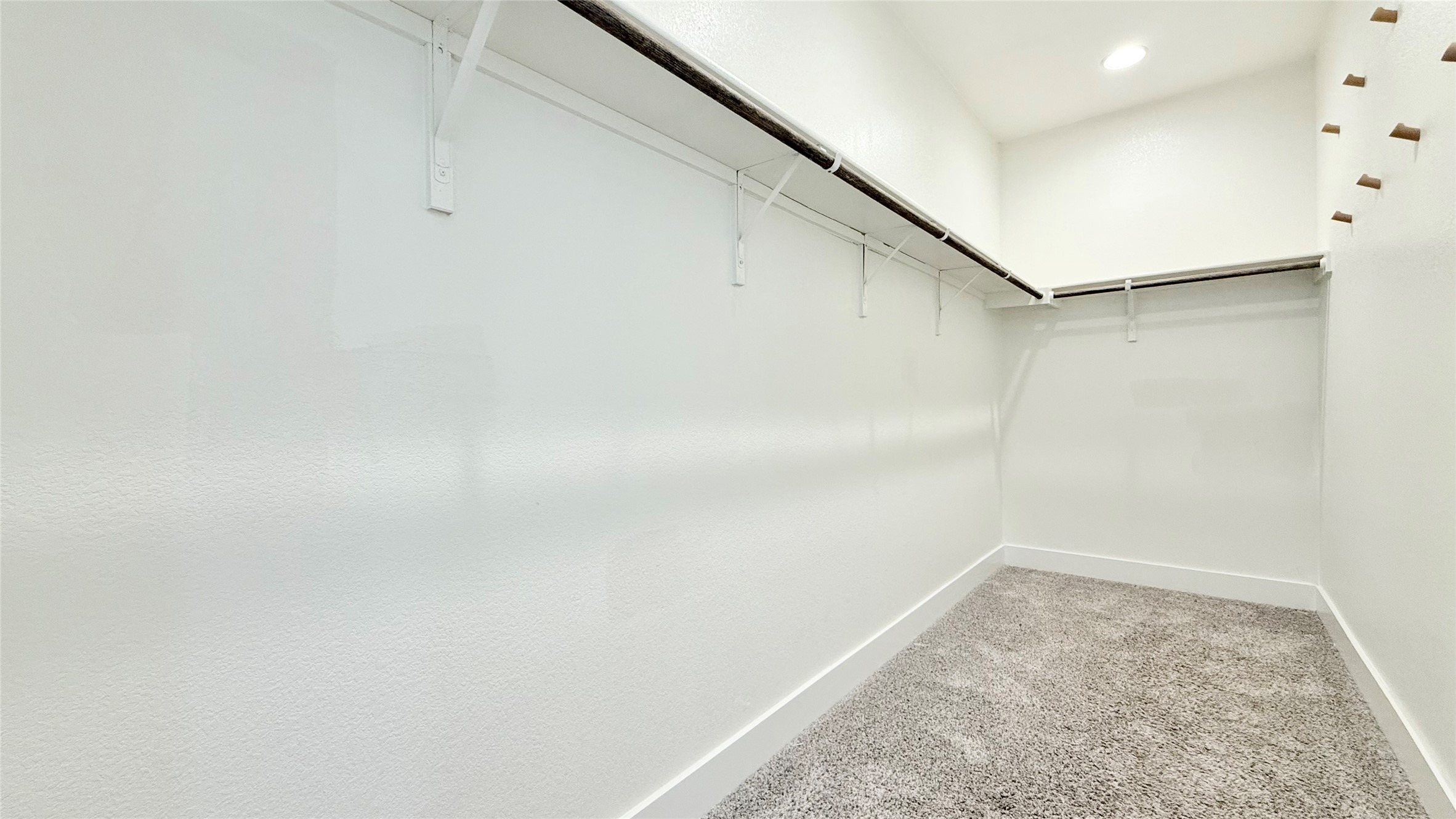 600 Golden Glory Road Leander, TX 78641 - Photo 16 of 21 Walk in closet featuring light carpet