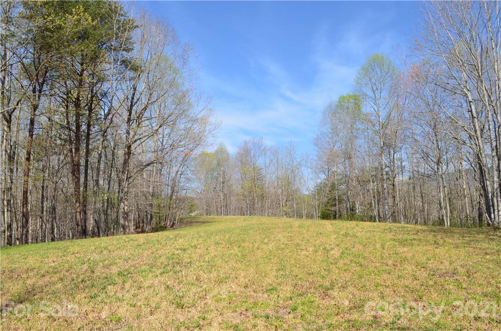 999 Fallen Tree Lane Mill Spring, NC 28756 - Photo 2 of 32 a view of yard with large trees
