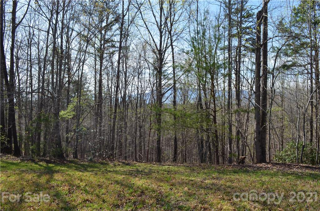 999 Fallen Tree Lane Mill Spring, NC 28756 - Photo 11 of 32 a view of outdoor space with a garden