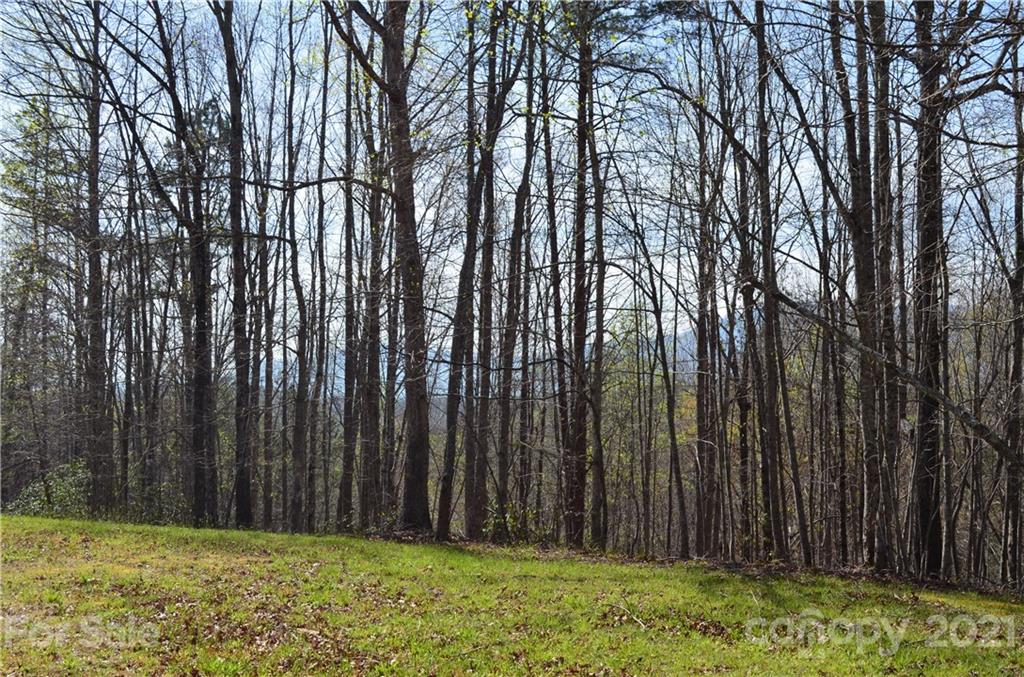 999 Fallen Tree Lane Mill Spring, NC 28756 - Photo 13 of 32 a view of backyard with tub