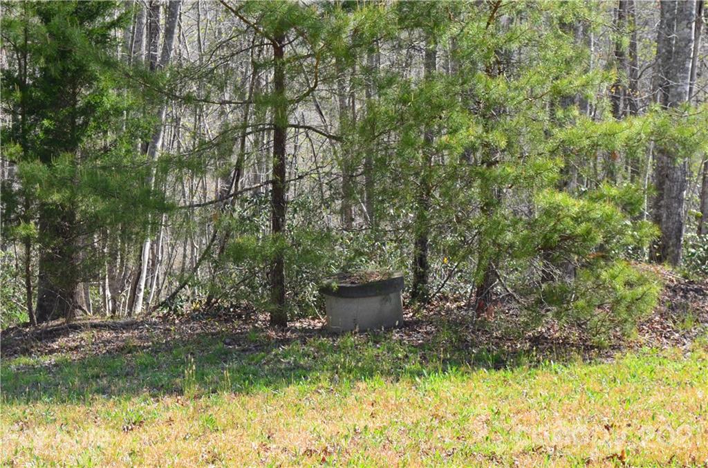 999 Fallen Tree Lane Mill Spring, NC 28756 - Photo 14 of 32 a backyard of a house with a yard and outdoor seating