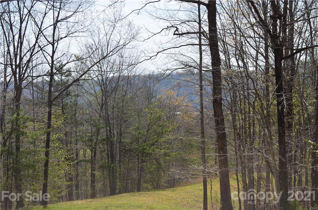 999 Fallen Tree Lane Mill Spring, NC 28756 - Photo 19 of 32