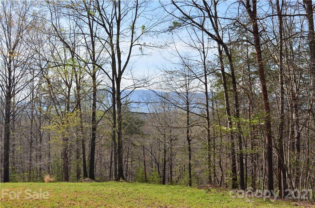 999 Fallen Tree Lane Mill Spring, NC 28756 - Photo 20 of 32 a view of a yard with large trees