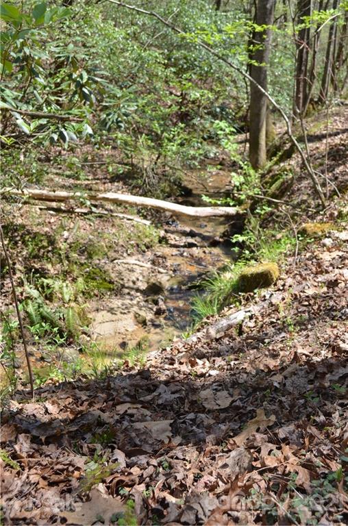 999 Fallen Tree Lane Mill Spring, NC 28756 - Photo 26 of 32