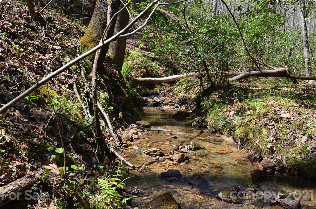 999 Fallen Tree Lane Mill Spring, NC 28756 - Photo 29 of 32 a view of tree
