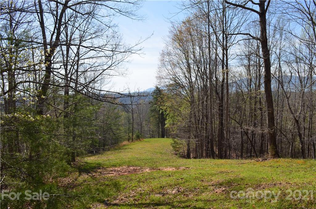 999 Fallen Tree Lane Mill Spring, NC 28756 - Photo 5 of 32 a view of a yard with large trees