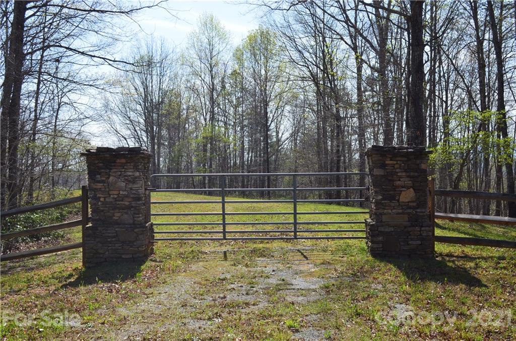 999 Fallen Tree Lane Mill Spring, NC 28756 - Photo 6 of 32 a view of outdoor space