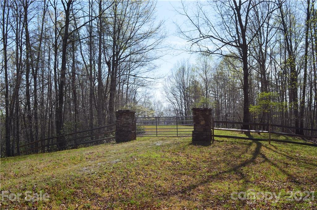 999 Fallen Tree Lane Mill Spring, NC 28756 - Photo 7 of 32 a view of outdoor space and yard