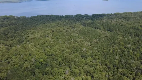 a view of a city with lush green forest