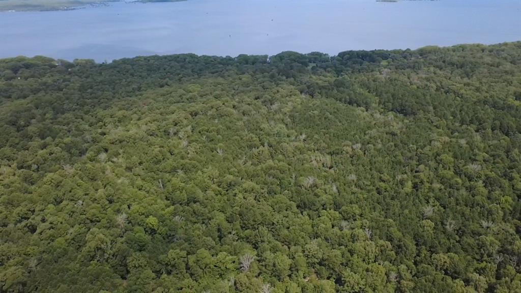 0 Hudson Road Mooringsport, LA 71060 - Photo 1 of 3 a view of a city with lush green forest
