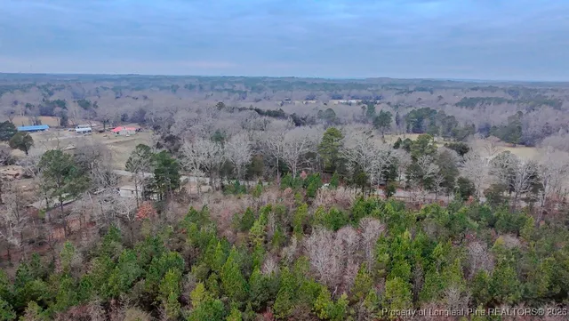 $174,900 | Tbd Flint Hill Church Road, Robbins, NC 27325