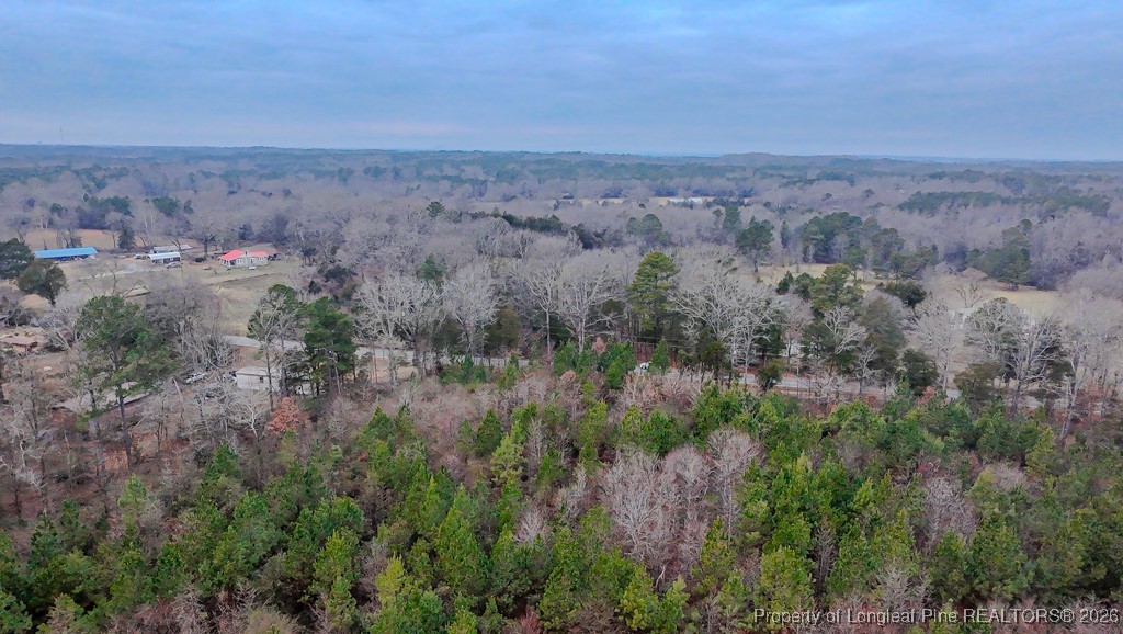 Tbd Flint Hill Church Road Robbins, NC 27325 - Photo 13 of 16 View from Rear