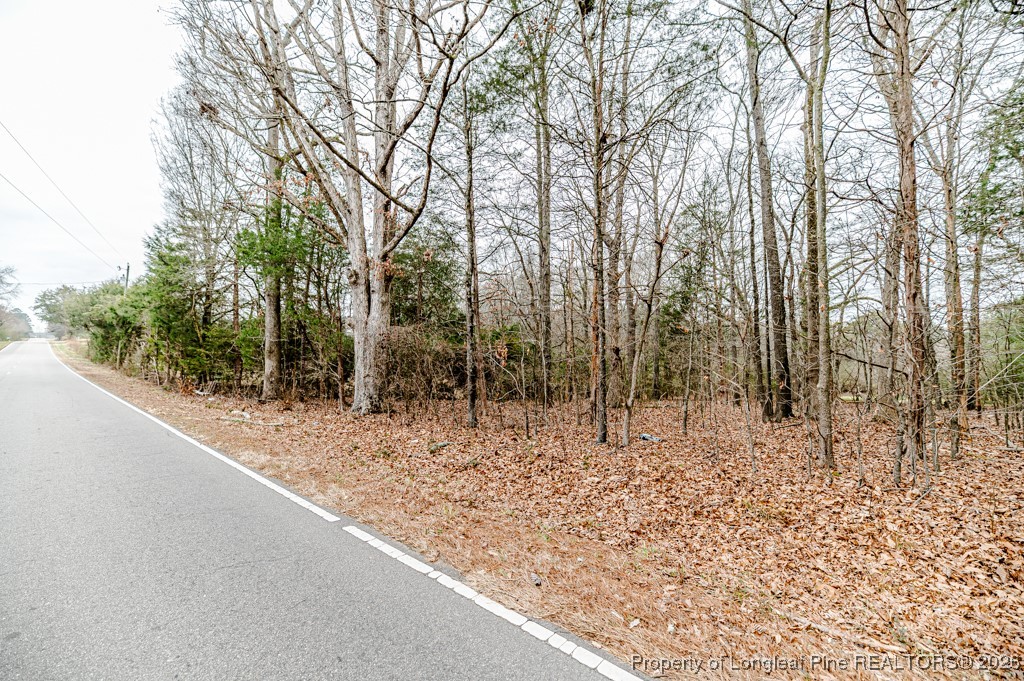 Tbd Flint Hill Church Road Robbins, NC 27325 - Photo 15 of 16 Add'l View