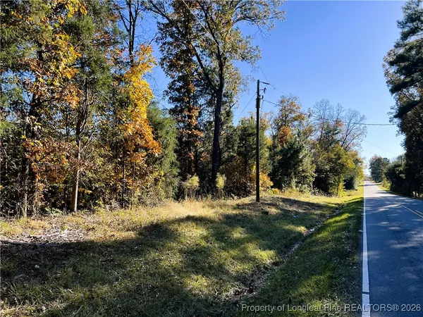 a view of a lush green forest with lots of trees