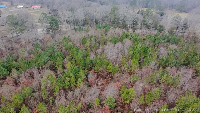$174,900 | Tbd Flint Hill Church Road, Robbins, NC 27325