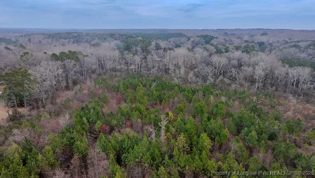 $174,900 | Tbd Flint Hill Church Road, Robbins, NC 27325