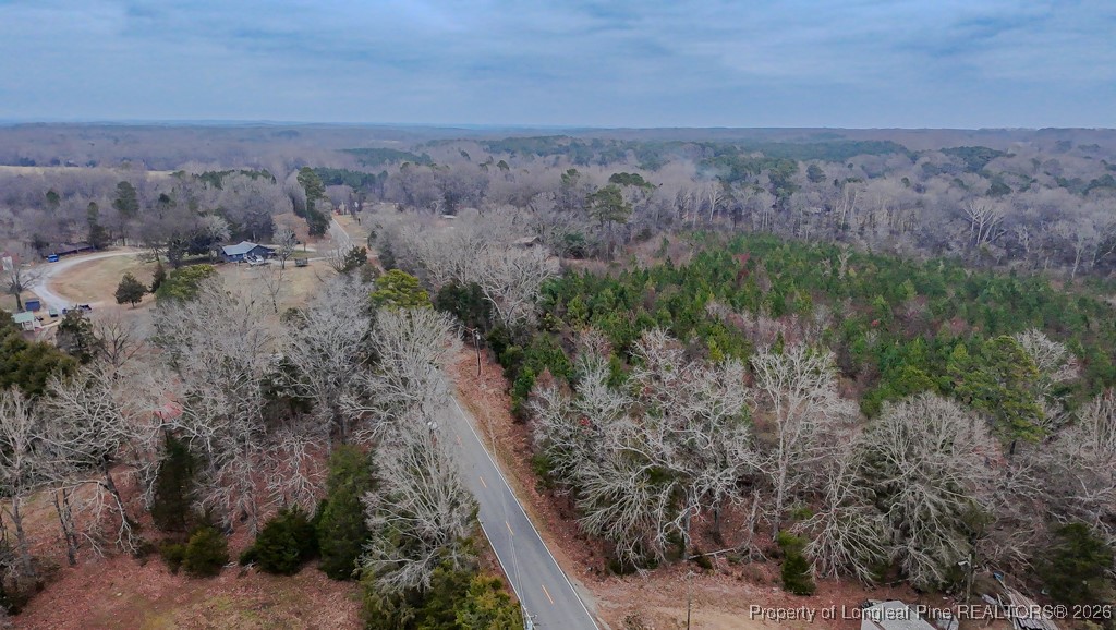 Tbd Flint Hill Church Road Robbins, NC 27325 - Photo 7 of 16 Larger Parcel on the right