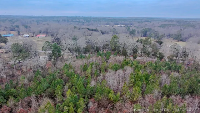 $174,900 | Tbd Flint Hill Church Road, Robbins, NC 27325