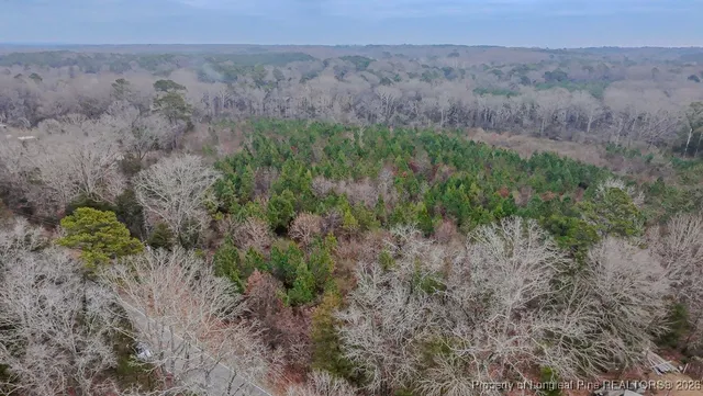 $174,900 | Tbd Flint Hill Church Road, Robbins, NC 27325