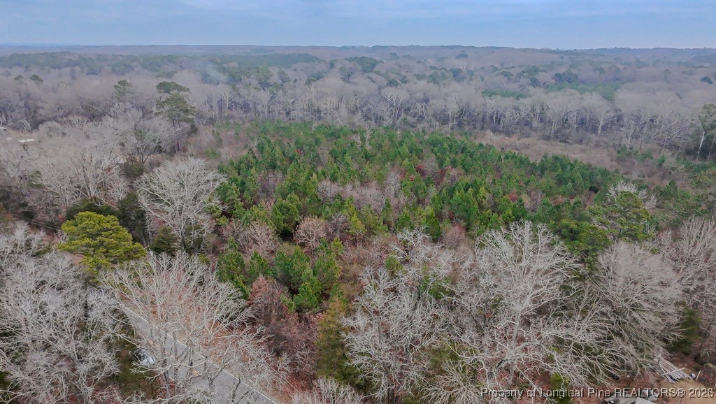 Tbd Flint Hill Church Road Robbins, NC 27325 - Photo 10 of 16 Aerial Right Angle View