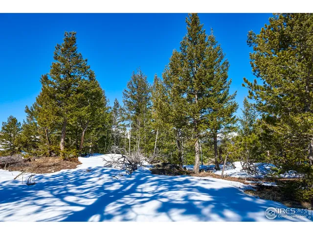 $210,000 | 815 Cougar Run, Nederland, CO 80466