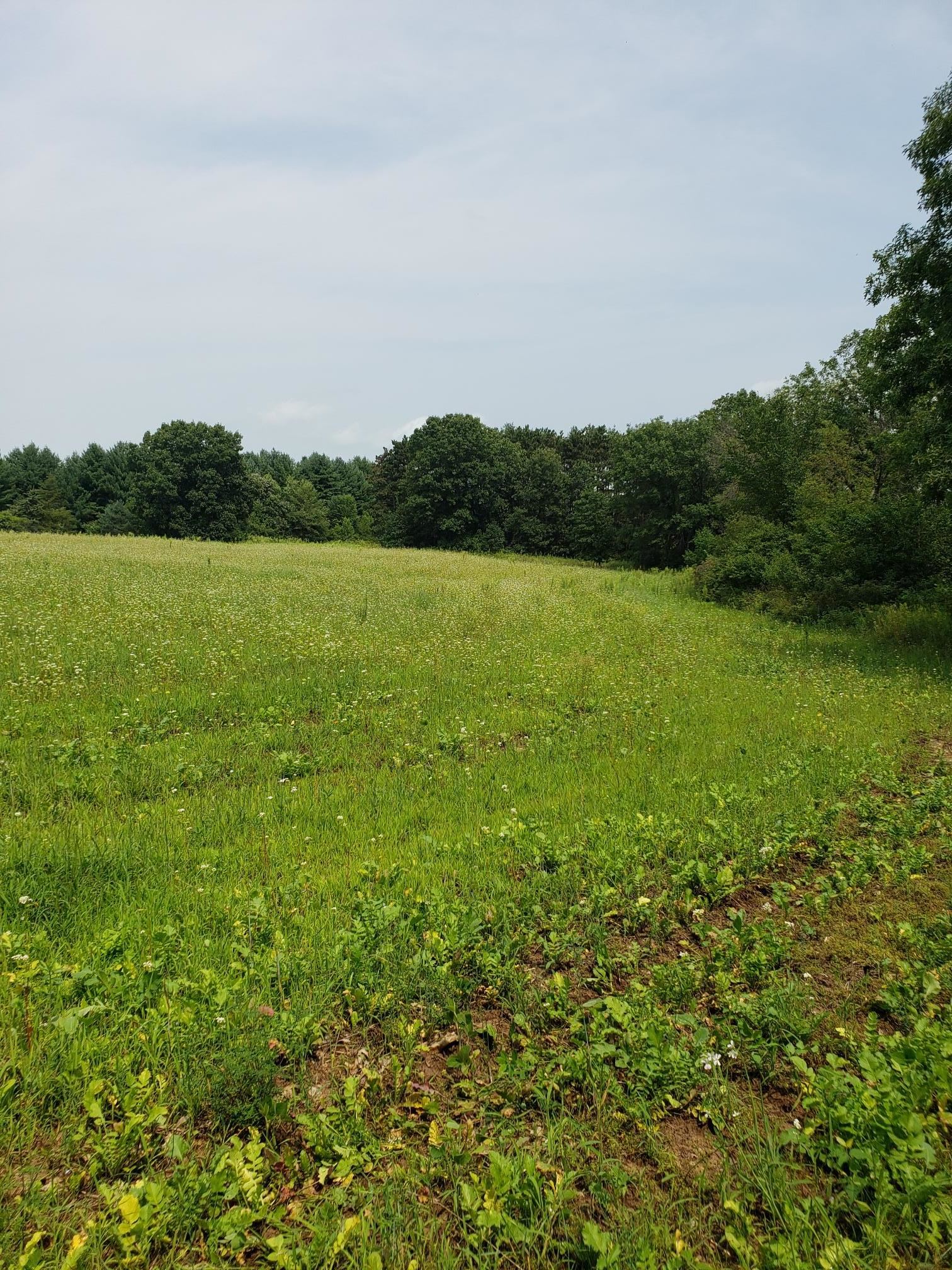 N7712 Church Road Portage, WI 53901 - Photo 37 of 44 Gallery Image 37