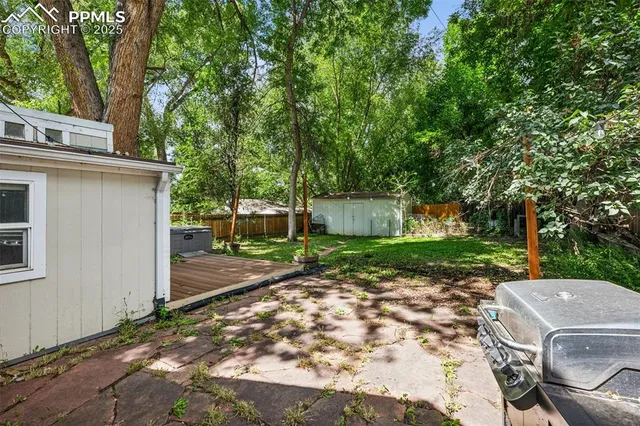 a view of a backyard with a trees