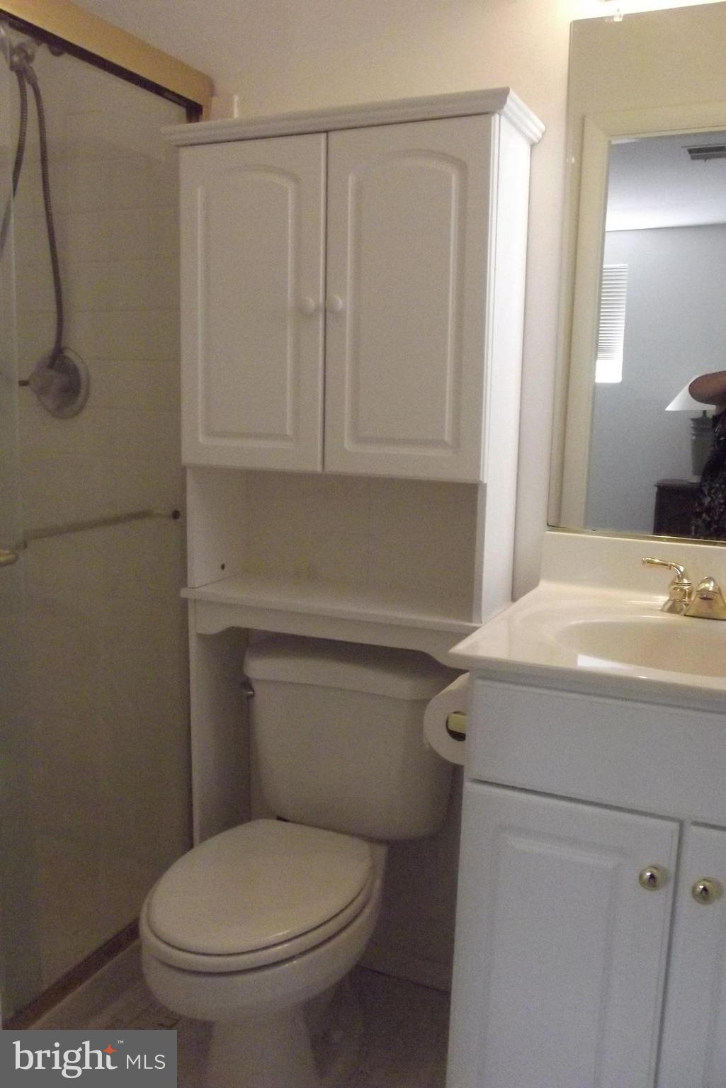 3922 Rolling Rd., Unit A6 Baltimore, MD 21208 - Photo 18 of 21 Bath (Master)