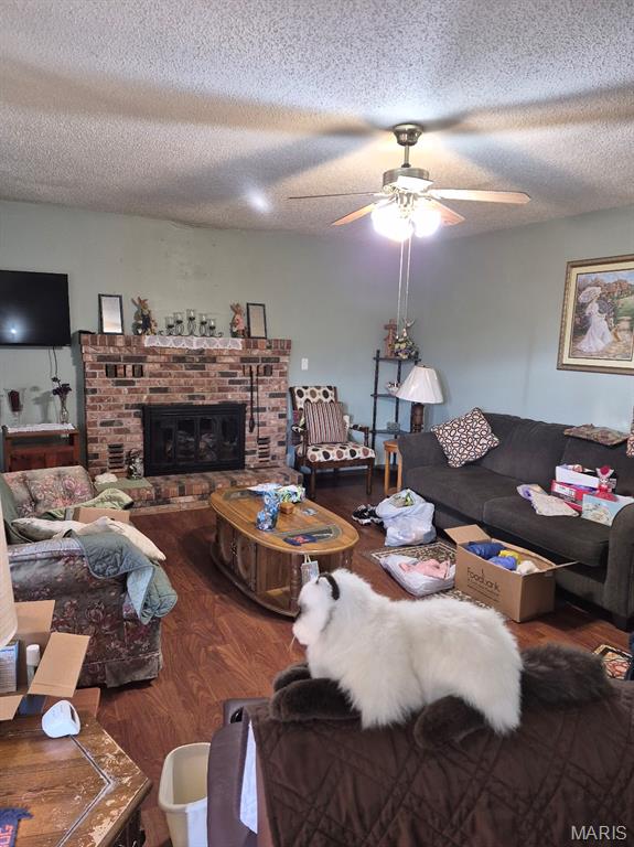 308 McCune Street Pilot Knob, MO 63663 - Photo 6 of 22