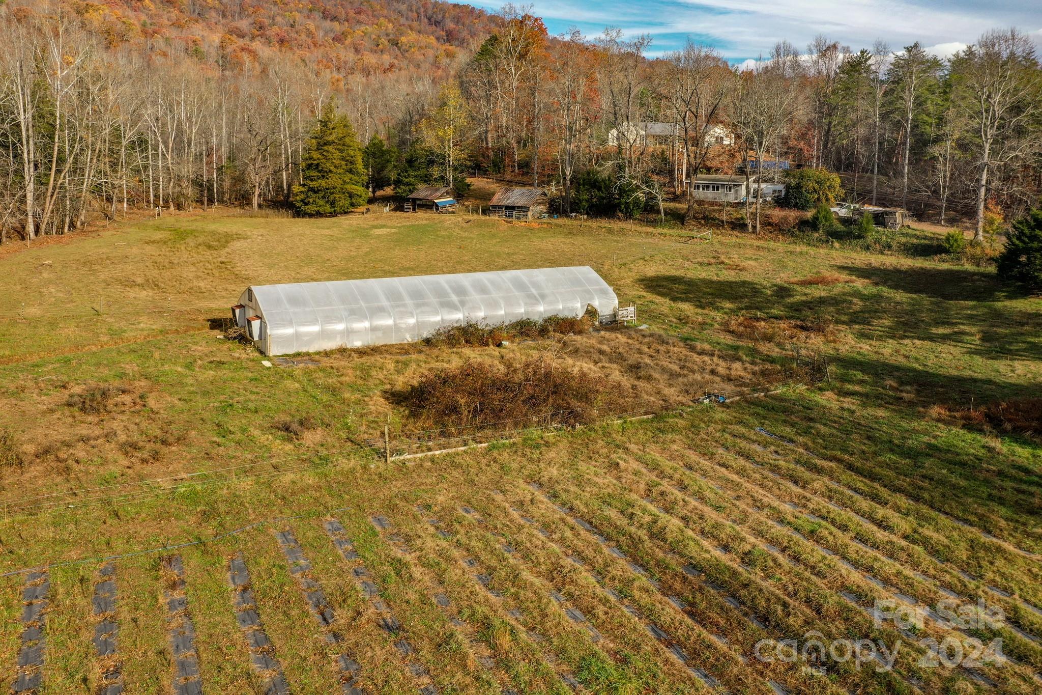 711 Herman Wilson Road Lake Lure, NC 28746 - Photo 2 of 47 Gallery Image 2