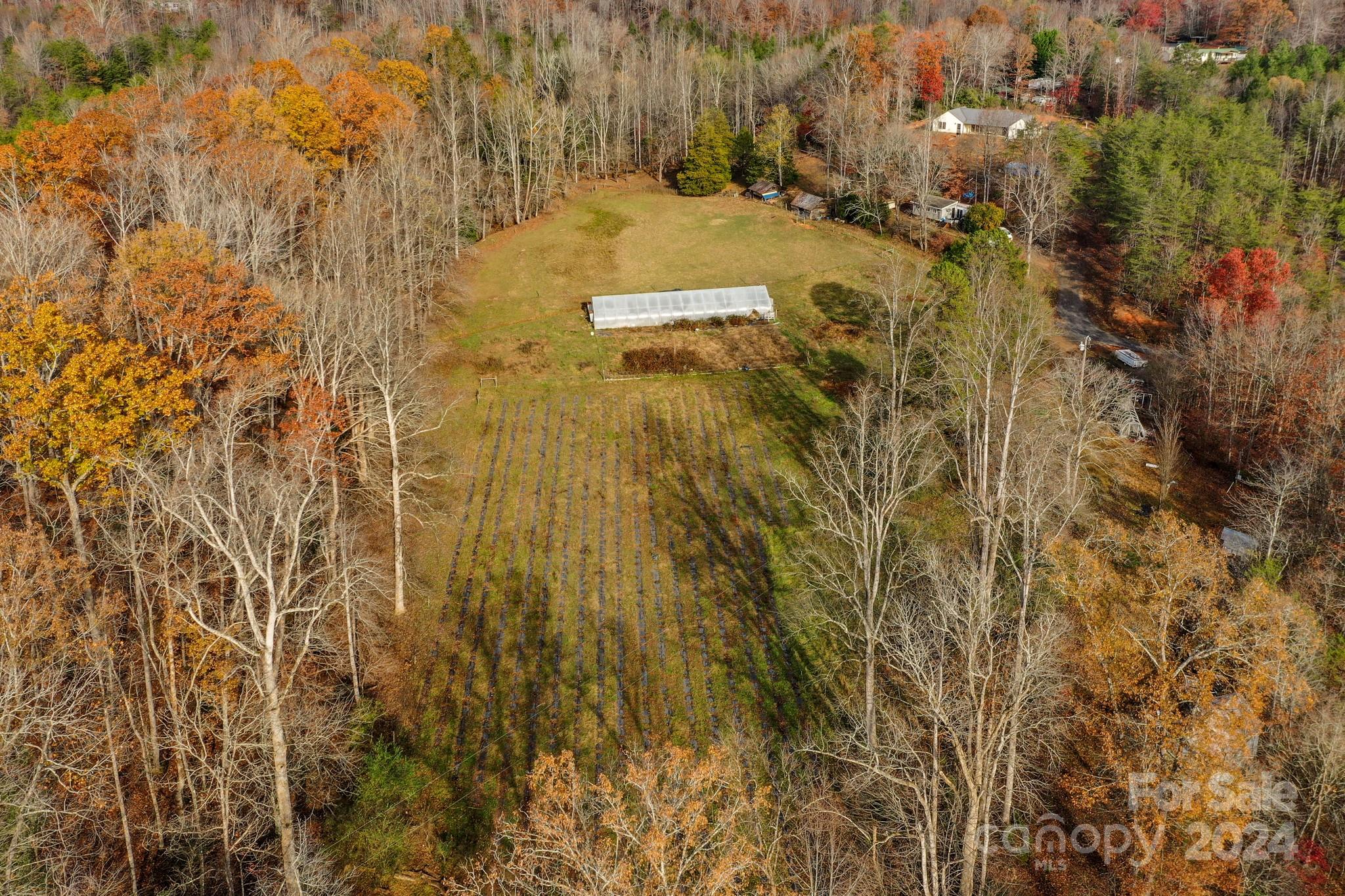 711 Herman Wilson Road Lake Lure, NC 28746 - Photo 28 of 47 Gallery Image 28