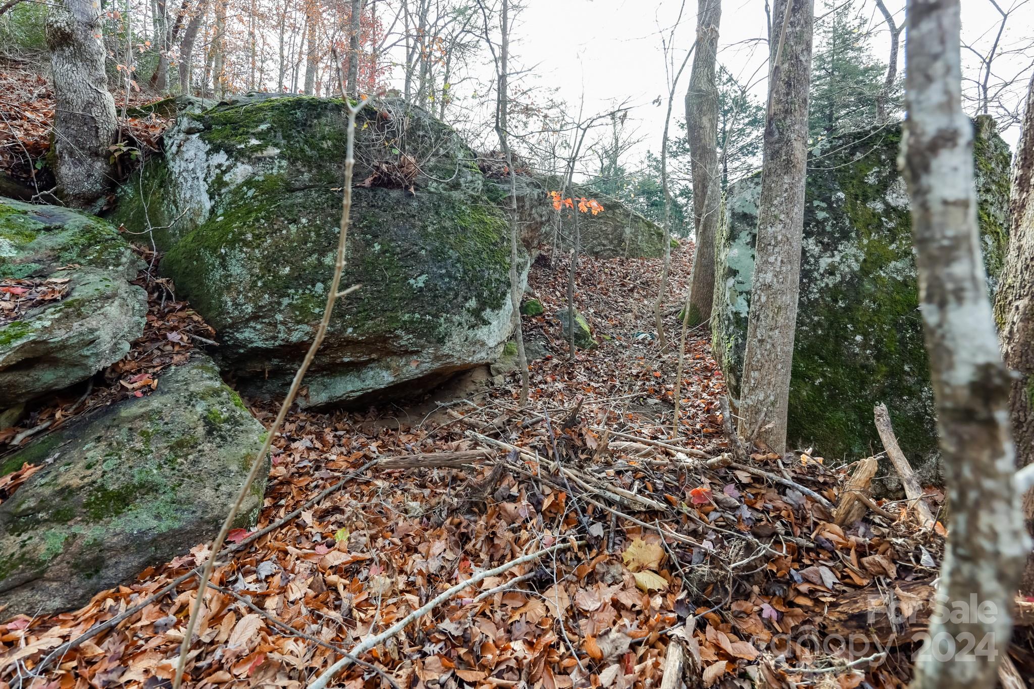 711 Herman Wilson Road Lake Lure, NC 28746 - Photo 36 of 47 Gallery Image 36