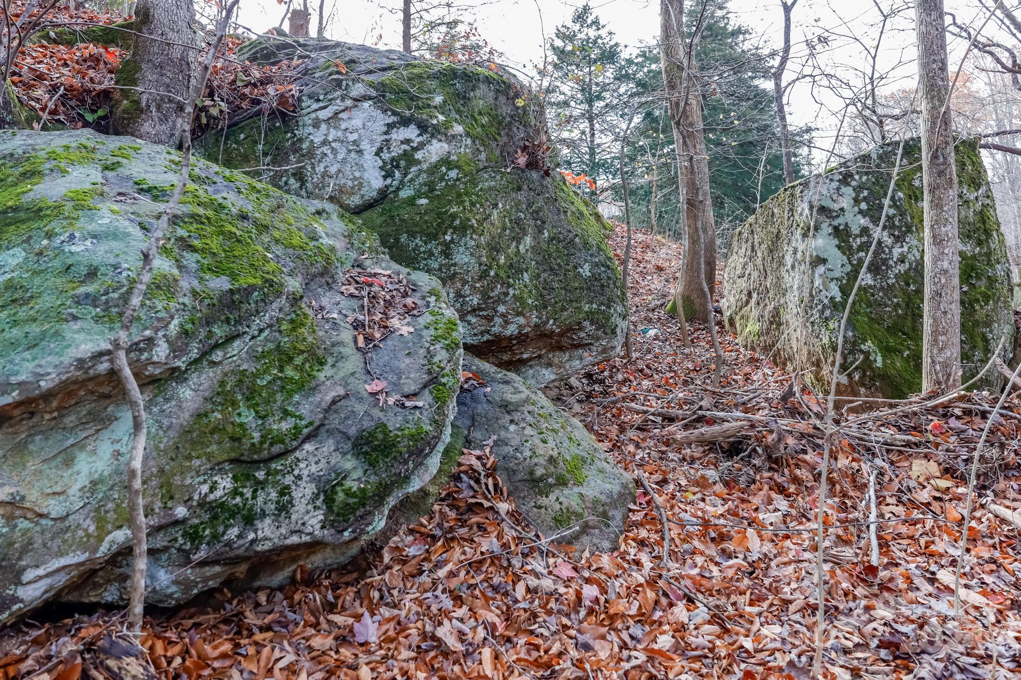 711 Herman Wilson Road Lake Lure, NC 28746 - Photo 37 of 47 Gallery Image 37