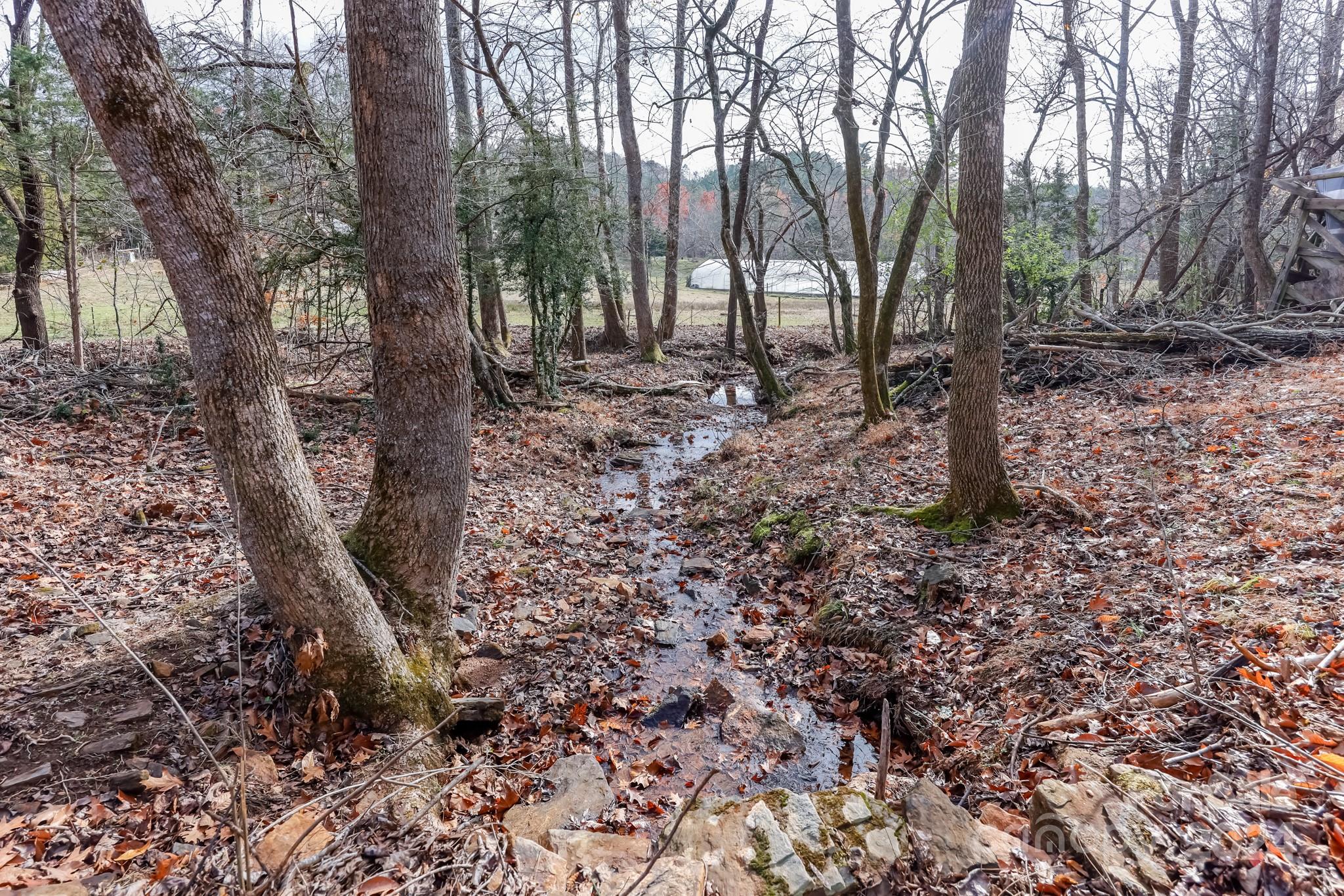 711 Herman Wilson Road Lake Lure, NC 28746 - Photo 39 of 47 Gallery Image 39