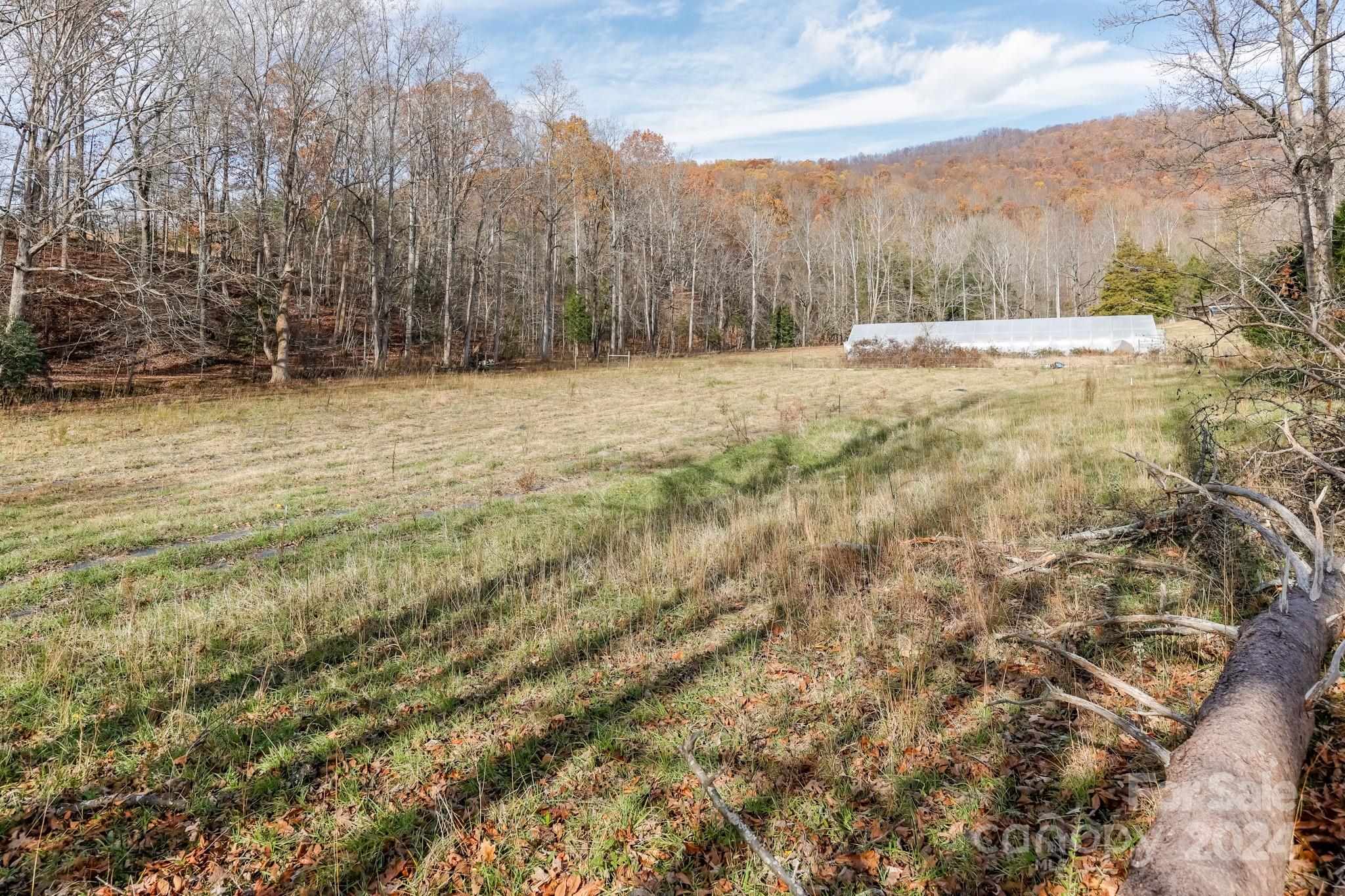 711 Herman Wilson Road Lake Lure, NC 28746 - Photo 41 of 47 Gallery Image 41