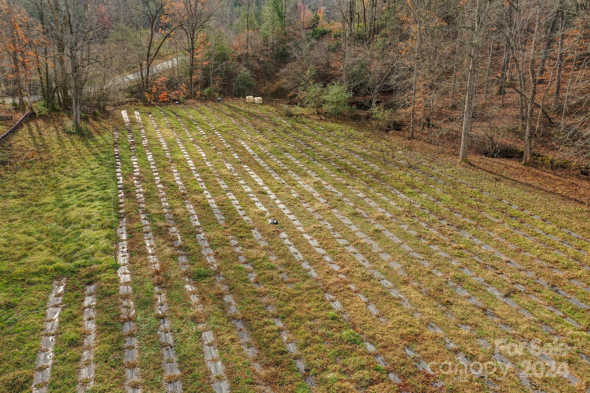 711 Herman Wilson Road Lake Lure, NC 28746 - Photo 46 of 47 Gallery Image 46
