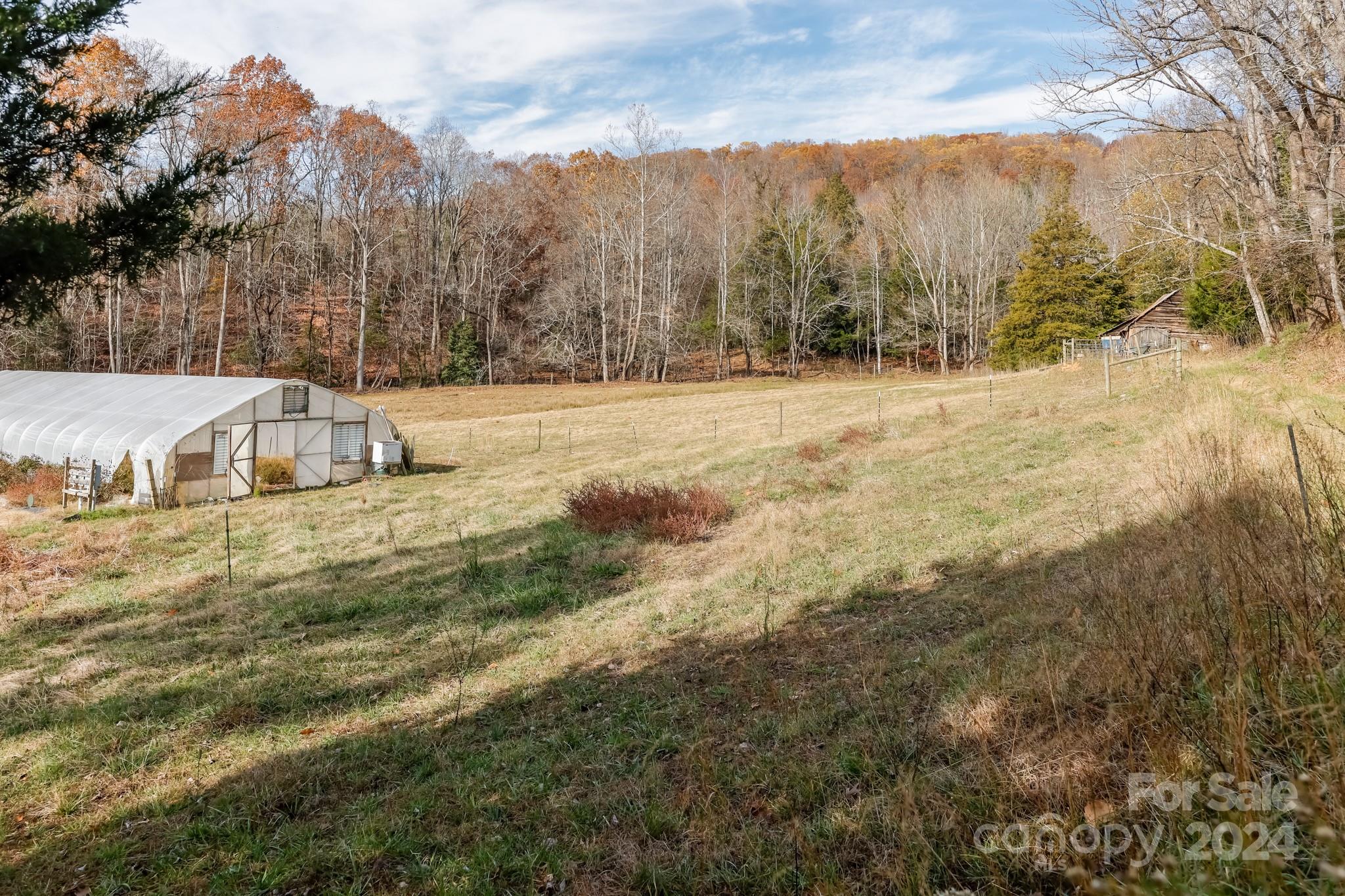 711 Herman Wilson Road Lake Lure, NC 28746 - Photo 6 of 47 Gallery Image 6
