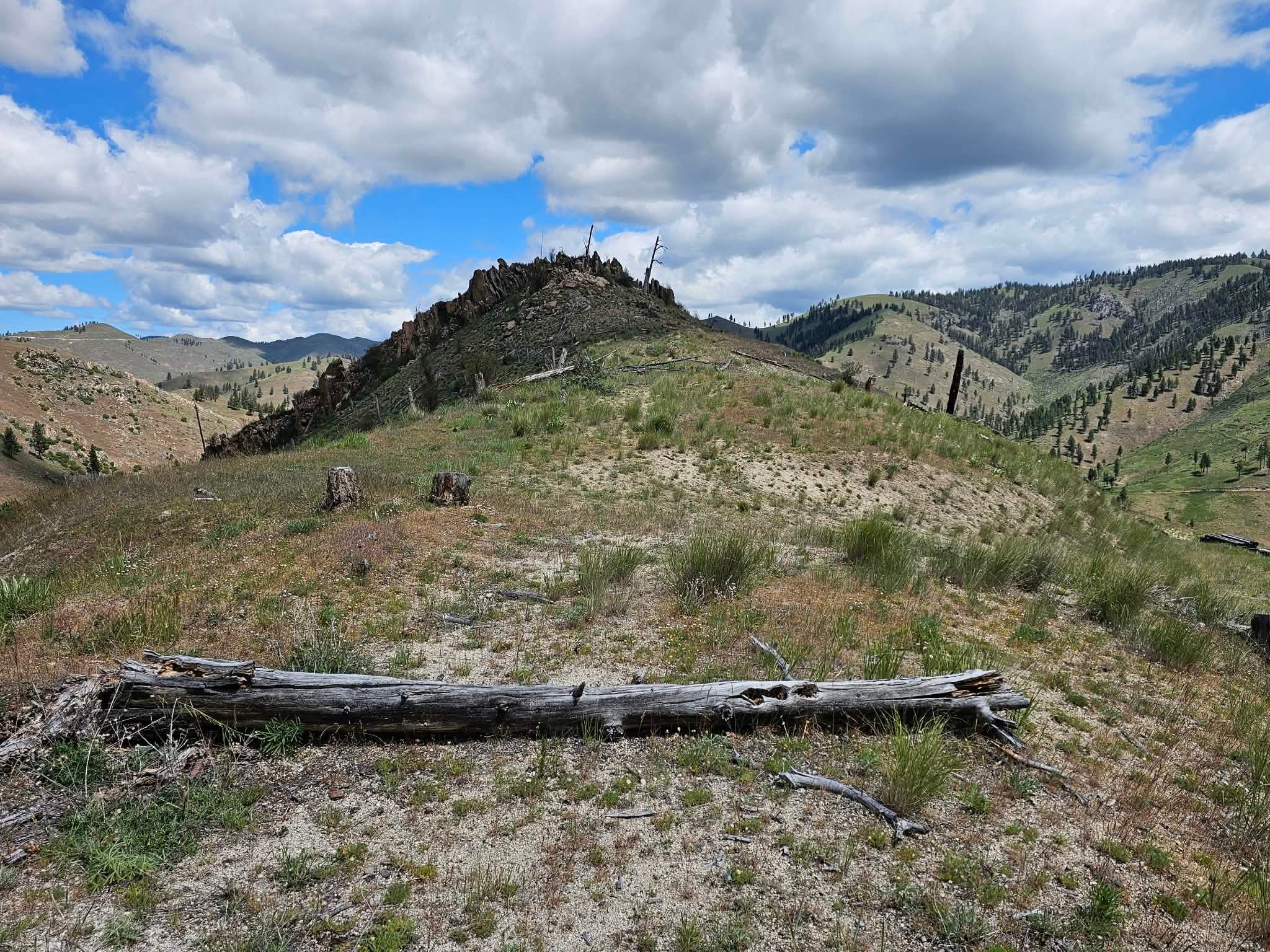 Nhn Blind Creek Draw Road Conner, MT 59827 - Photo 23 of 27 Gallery Image 23