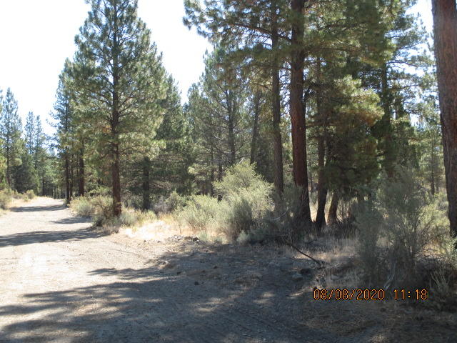 Lot 2200 Sycan Road Beatty, OR 97621 - Photo 5 of 9 IMG_6101