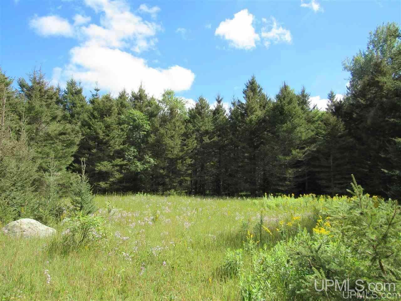 Tbd Tbd Off Stagecoach Road Michigamme, MI 49861 - Photo 20 of 37