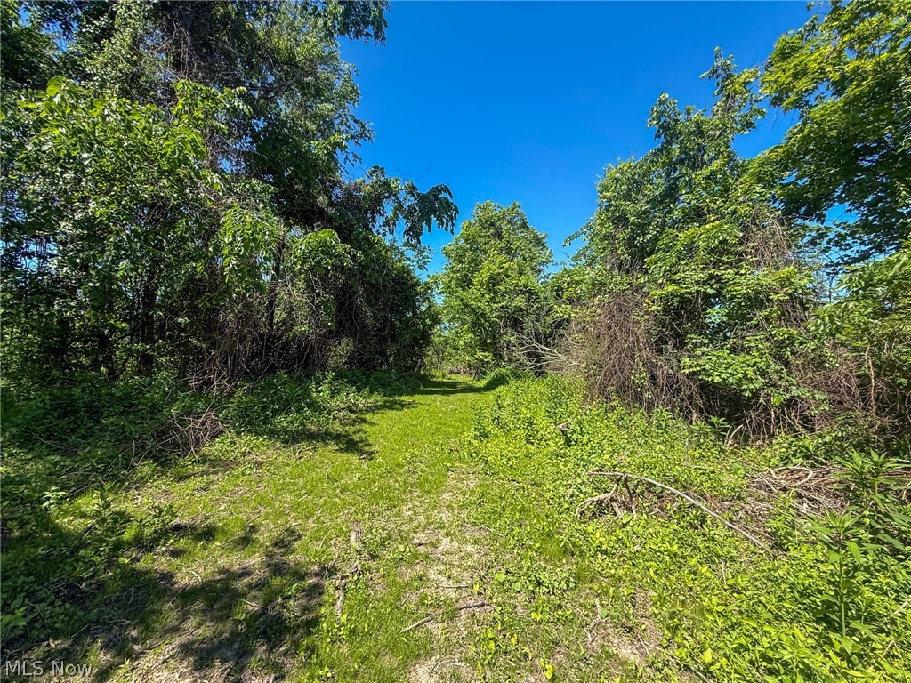 Lot 1 Altamont Road Mingo Junction, OH 43938 - Photo 6 of 31 Gallery Image 6