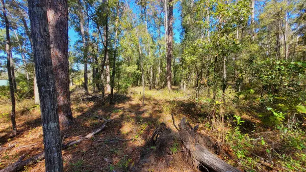 $55,500 | Tbd Northeast Nixon Place, Madison, FL 32340