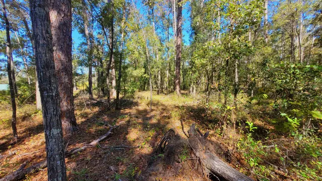 $55,500 | Tbd Northeast Nixon Place, Madison, FL 32340