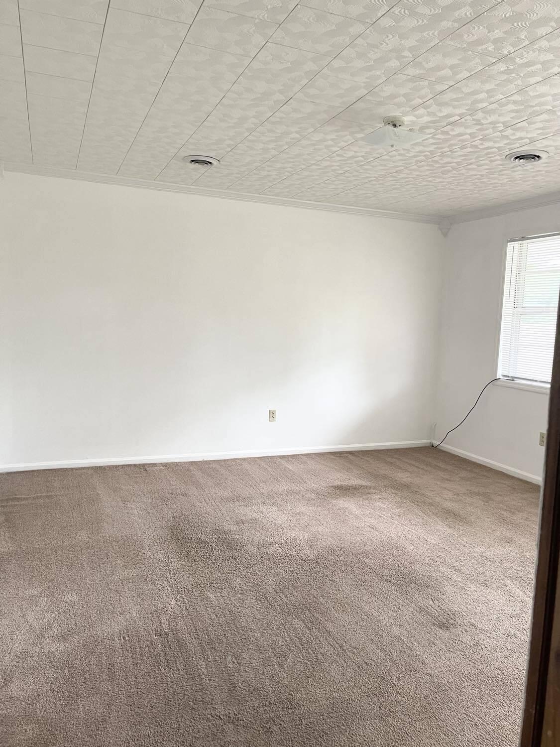 220 Lanier Road Johnston, SC 29832 - Photo 4 of 12
