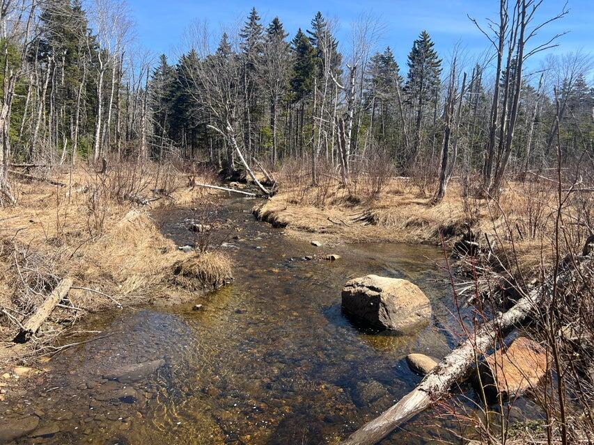 36 Chimney Rock Road Temple, ME 04984 - Photo 2 of 12 20250424113028296697000000-o