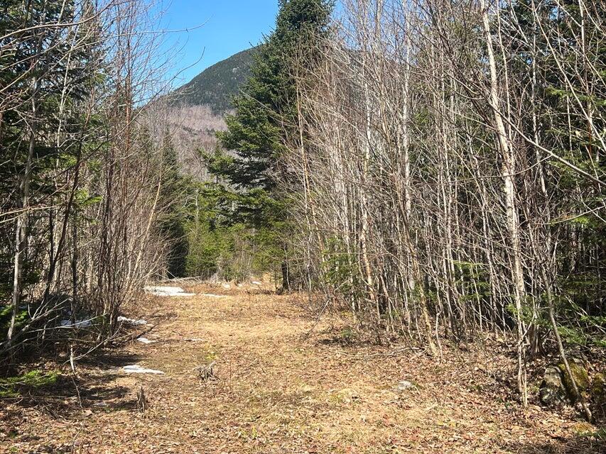 36 Chimney Rock Road Temple, ME 04984 - Photo 3 of 12 20250424113049546832000000-o