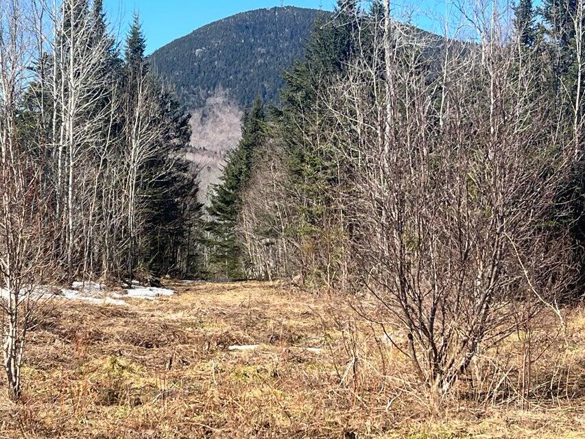 36 Chimney Rock Road Temple, ME 04984 - Photo 4 of 12 20250326121707961332000000-o