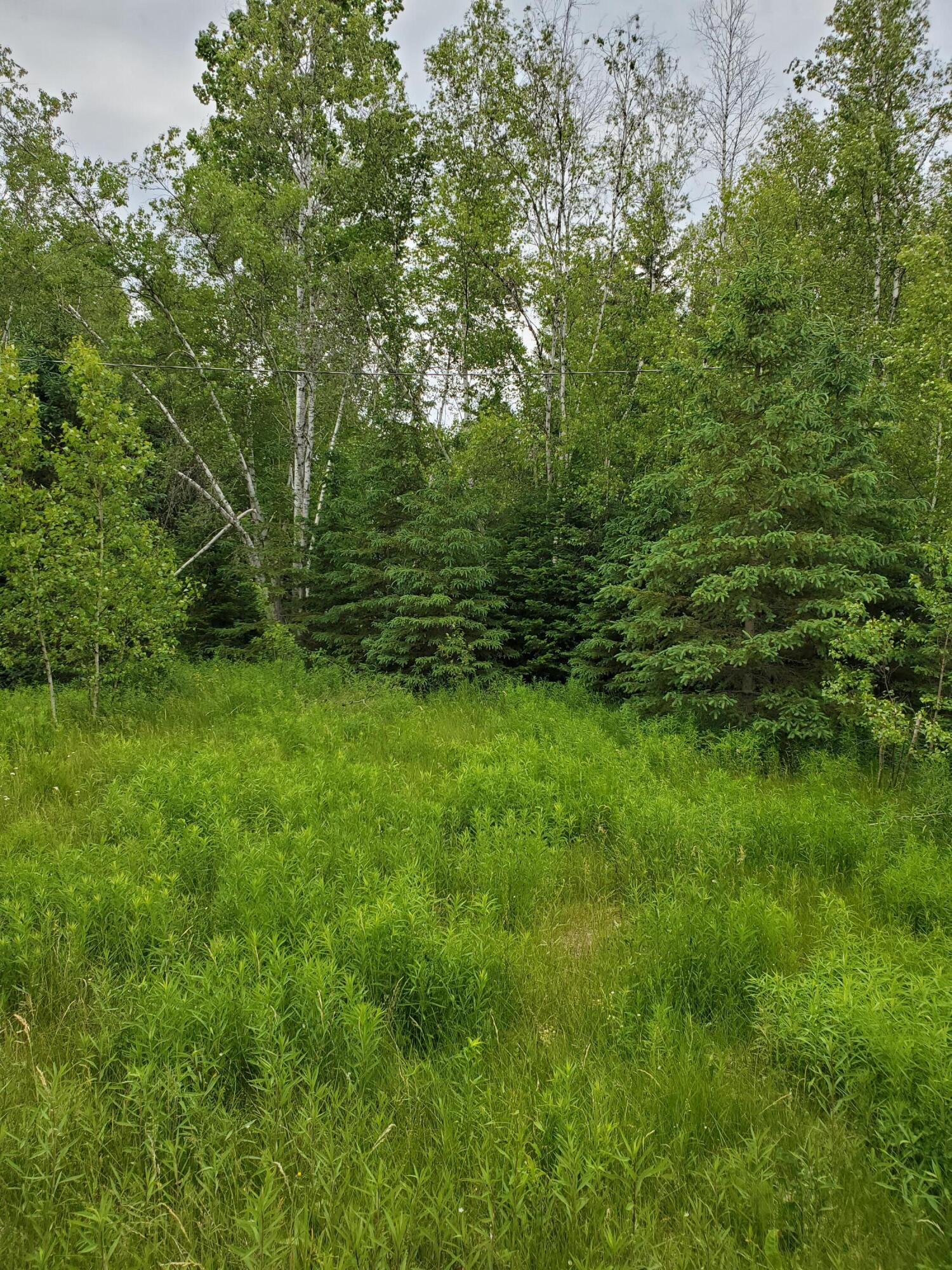 2291 Bancroft Road Wytopitlock, ME 04497 - Photo 9 of 14 20210614_151015
