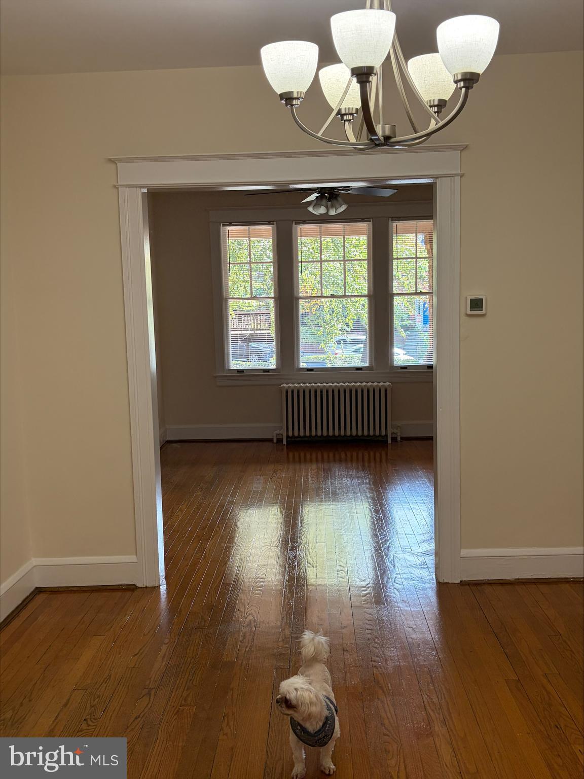 2218 Tunlaw Road Northwest Washington, DC 20007 - Photo 5 of 20 Dining Room
